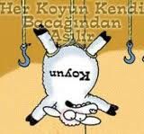 KOYUN BACAĞINDAN ASILMIŞ AMA